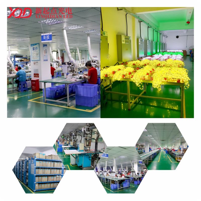 XQD-XR50 Outdoor Waterproof RGBW LED Pixel Point Light for Theme Park Landscape Decoration